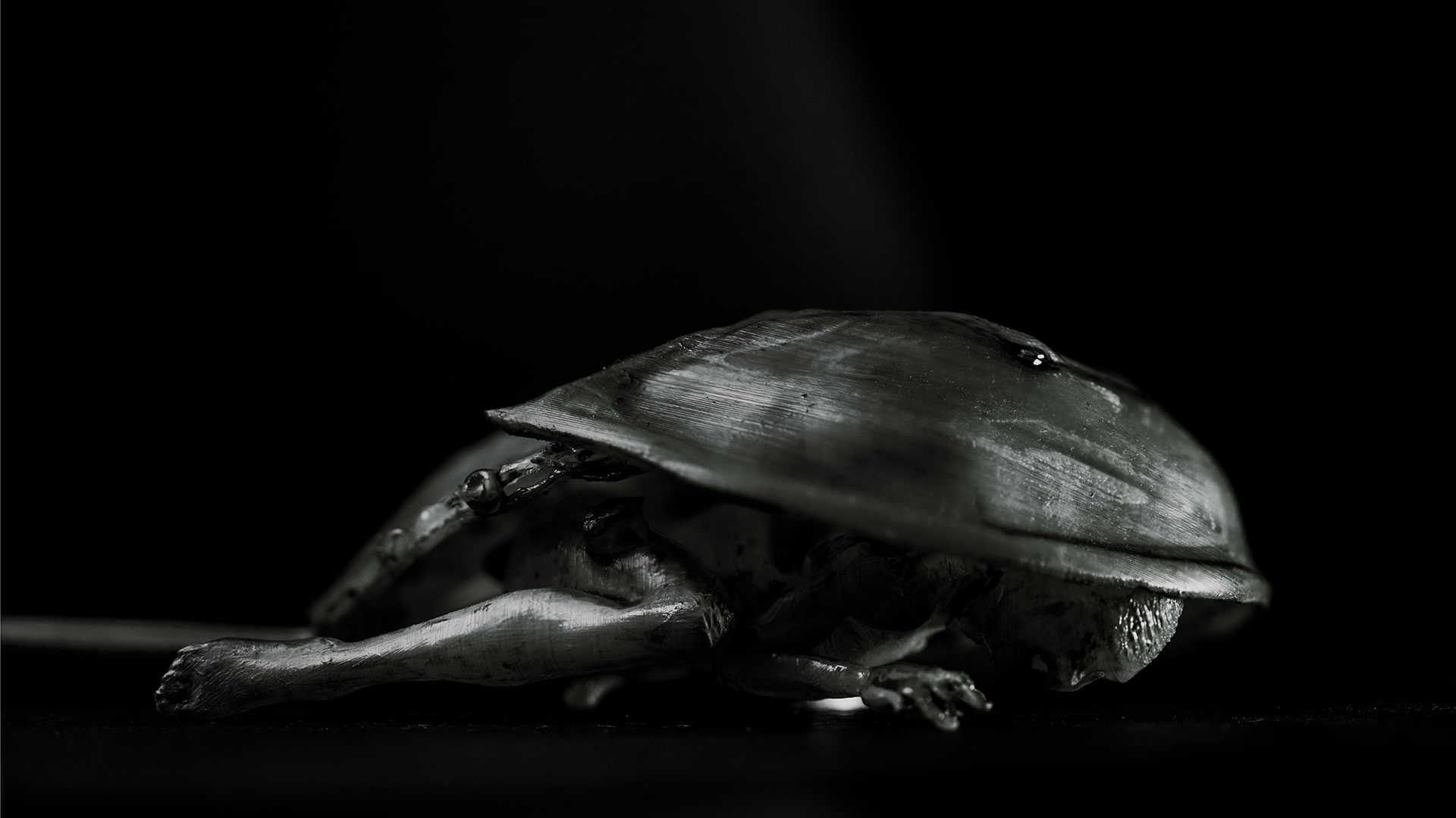 In der rechten Seitenansicht werden weitere menschliche Körperteile eines Mannes unter dem Panzer des Pfeilschanzkrebses sichtbar. Neben dem Bein sind der Kopf, der Arm, Teile des Oberkörpers und des Oberschenkels sichtbar.