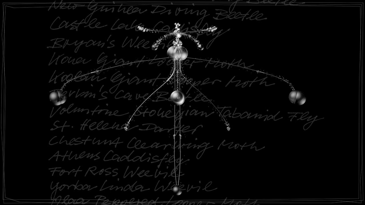 Künstlerische 3D-Visualisierung und Komposition eines fantastischen Insektes, zusammengesetzt aus transparenten Elementen vor schwarzem Hintergrund. Totale von ›FULU‹ aus der Bildserie ›Insects leave now‹. Im Hintergrund sind die kalligrafisch geschriebenen Namen ausgestorbener Insekten aufgelistet.