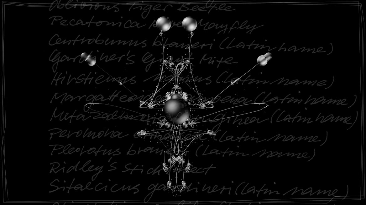 Künstlerische 3D-Visualisierung und Komposition eines fantastischen Insektes, zusammengesetzt aus transparenten Elementen vor schwarzem Hintergrund. Totale von ›NAOS‹ aus der Bildserie ›Insects leave now‹. Im Hintergrund sind die kalligrafisch geschriebenen Namen ausgestorbener Insekten aufgelistet.